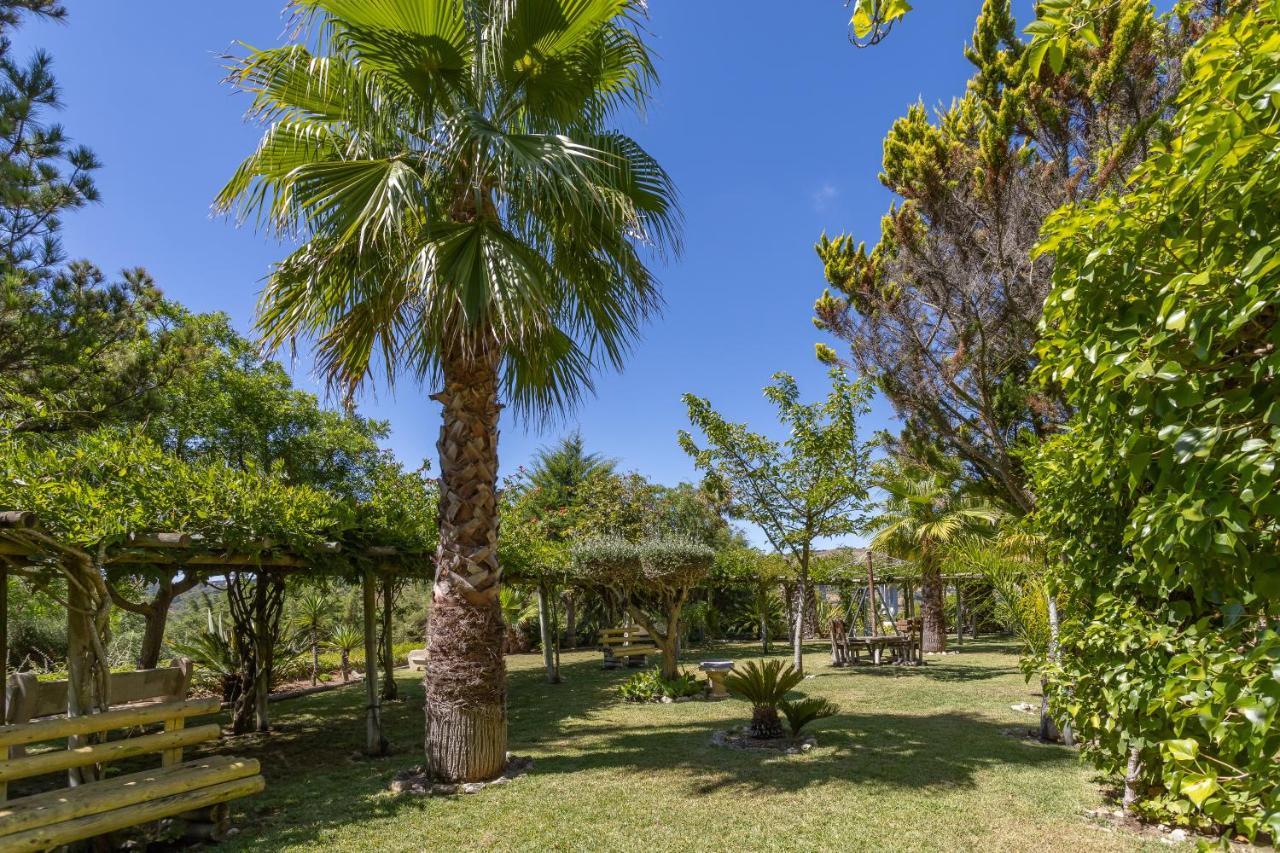 Quinta Do Monte Das Abelhas - La Venus De Lisbonne Calhandriz Buitenkant foto